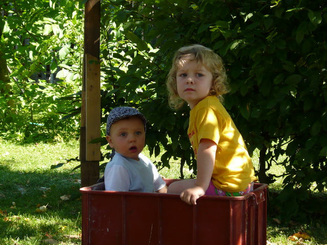 P1020174.jpg