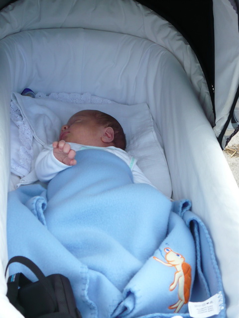 P1020103.jpg