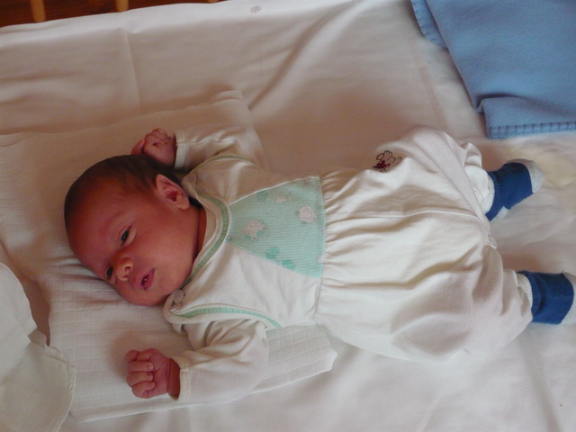 P1020107.jpg