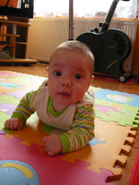 P1020339.jpg